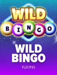 wild bingo logo